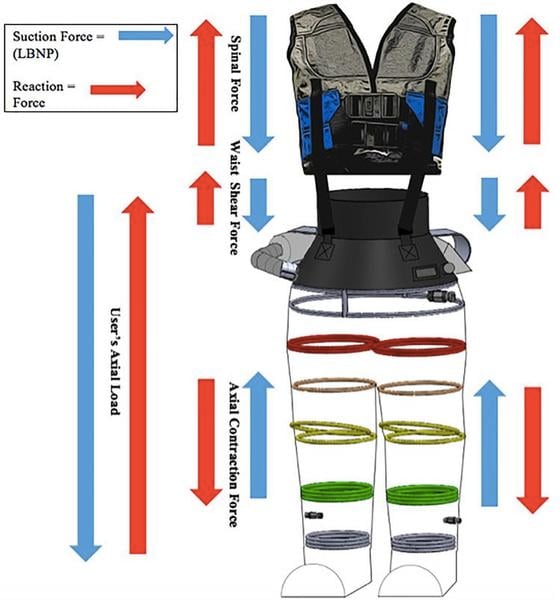 Mobile gravity suit force balance analysis. Neeki Ashari and Alan R. Hargens